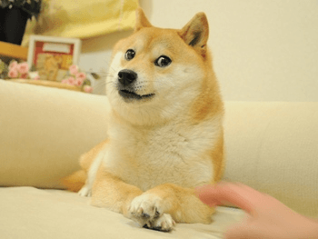 Original image